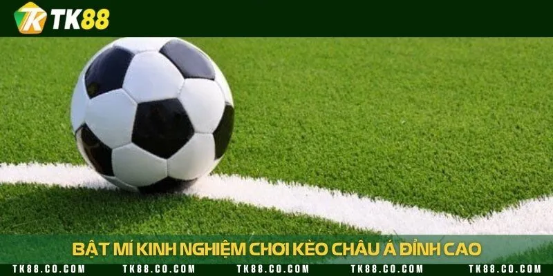 Tuyệt chiêu vào tiền kèo cược ai cũng cần nhớ