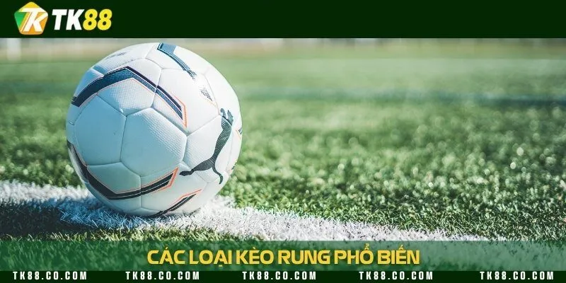 Tổng hợp những loại kèo rung thường gặp khi tham gia cá cược bóng đá
