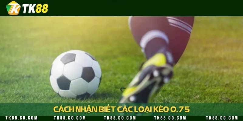 3 biến thể kèo 0.75 được yêu thích nhất