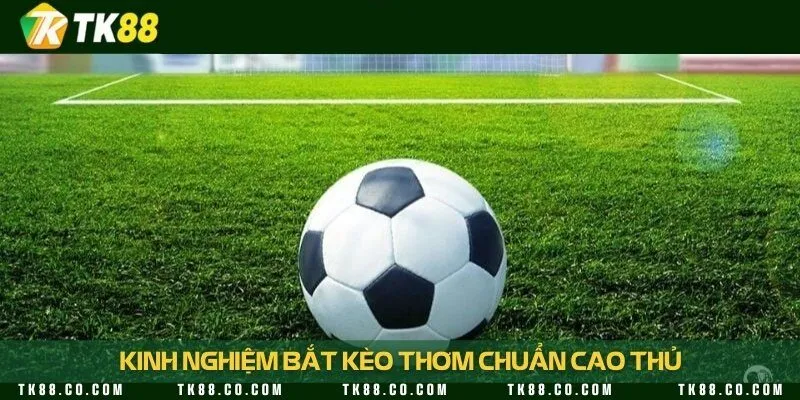 Tuyệt chiêu bắt kèo thơm từ người chơi lâu năm