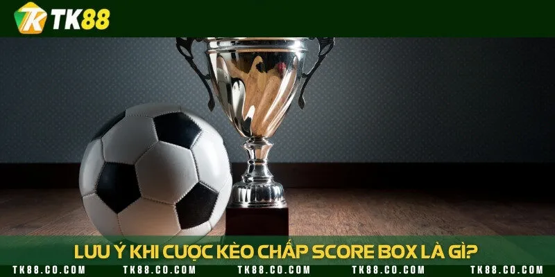 Lưu ý đặc biệt trong quá trình đặt cược