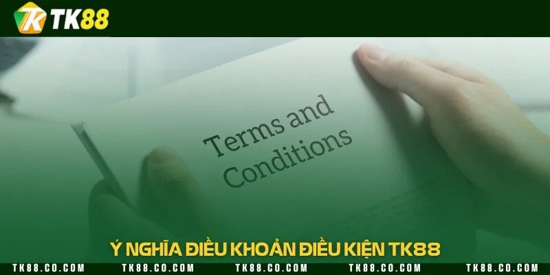 Các điều khoản và điều kiện giúp xây dựng một hệ thống giải trí an toàn